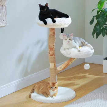 Modern Wooden Flower Cat Tree: Hammock + Scratch Post